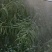 农用电动喷雾器喷杆扇形雾化多喷头配件高压打药机多功能长的