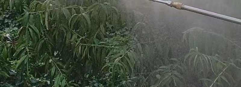农用电动喷雾器喷杆扇形雾化多喷头配件高压打药机多功能长的