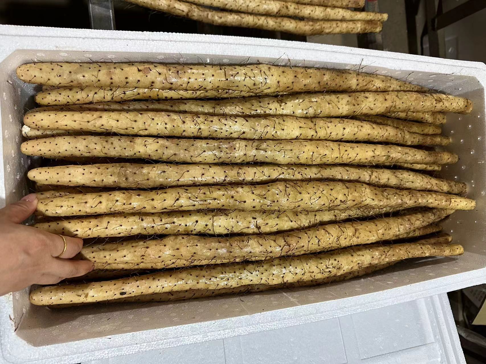 蓝莓山药切面展示,可见清晰的山药泥与果酱分层结构 蓝莓山药切面图