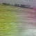遵化蒜黄，唐山蒜黄，精品蒜黄