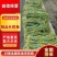 【热卖榜单】精品长豆角全国接单货源充足价格美丽