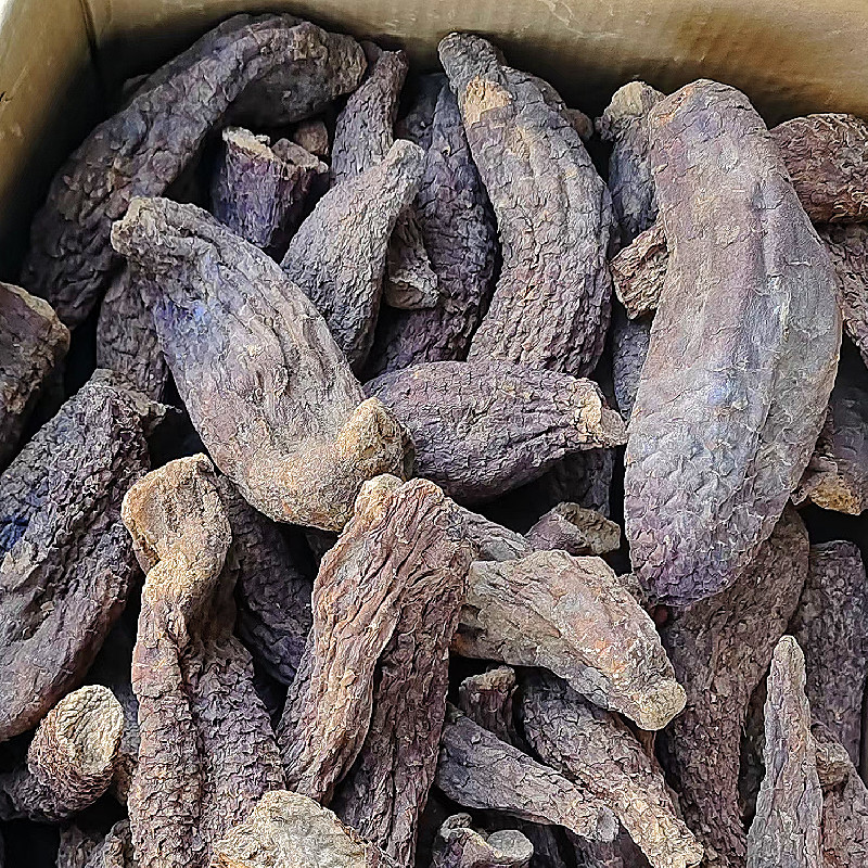 新疆肉苁蓉硬质大芸短条泡茶泡水沙漠宝和田特产批发
