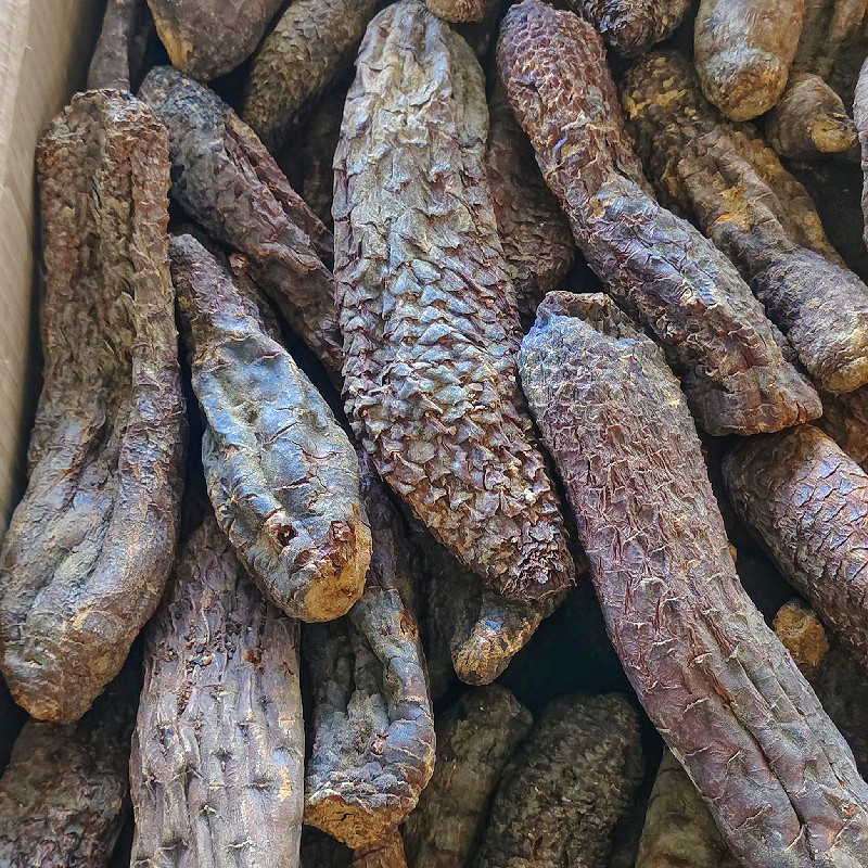 新疆肉苁蓉硬质大芸短条泡茶泡水沙漠宝和田特产批发