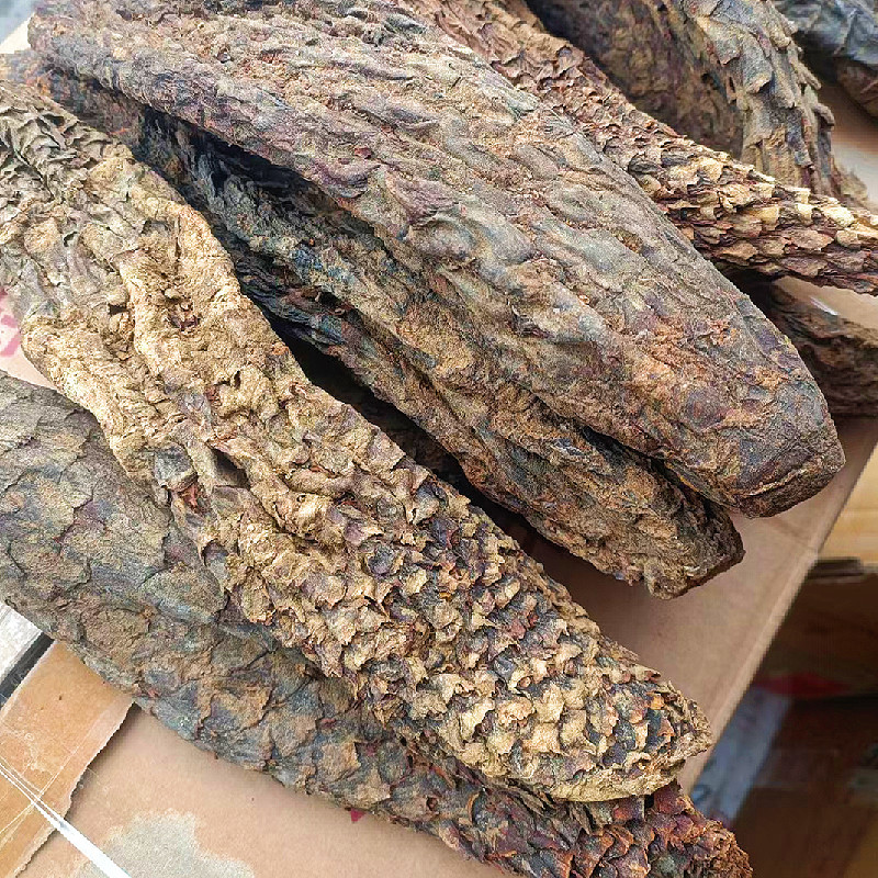 新疆肉苁蓉硬质大芸短条泡茶泡水沙漠宝和田特产批发