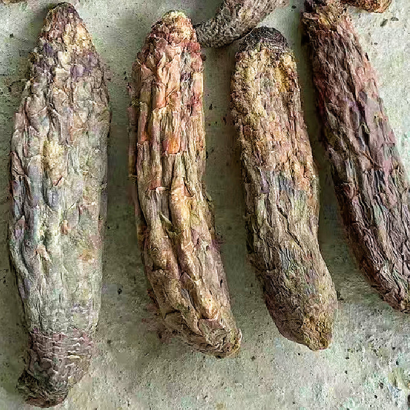 新疆肉苁蓉硬质大芸短条泡茶泡水沙漠宝和田特产批发