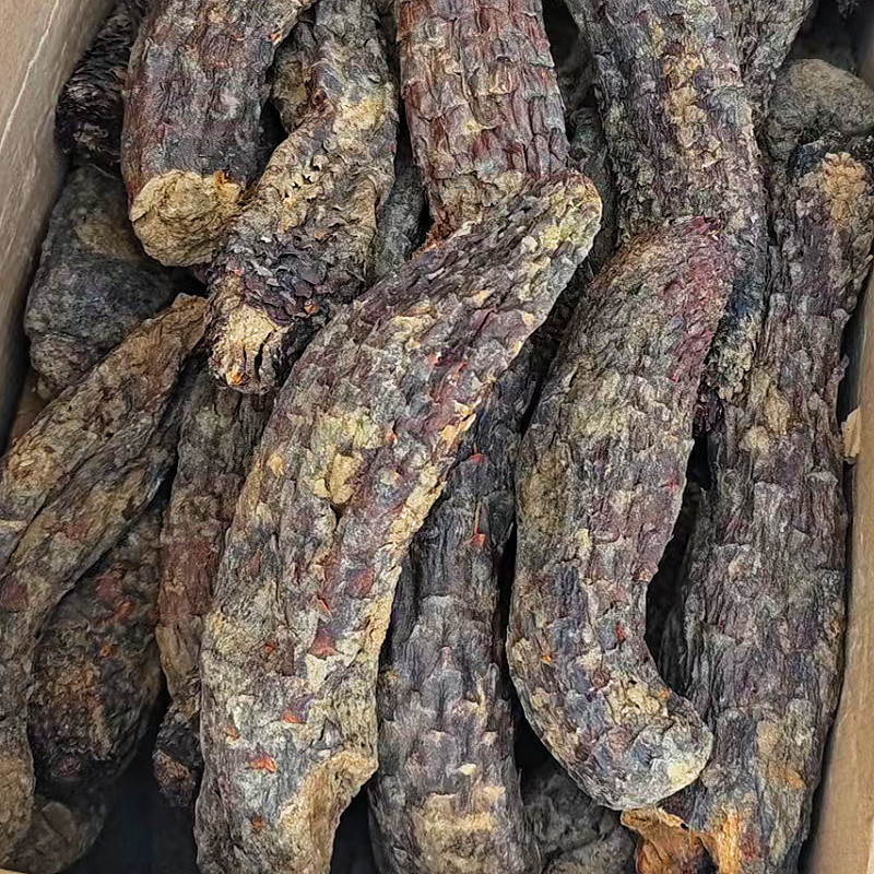 新疆肉苁蓉硬质大芸短条泡茶泡水沙漠宝和田特产批发