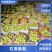 红香酥梨陕西渭南大荔红香酥梨大量上市欢迎来电
