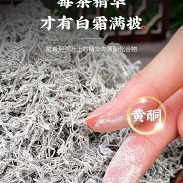 张家界永定区高山藤茶大量供应中品质保证口感细腻霉茶