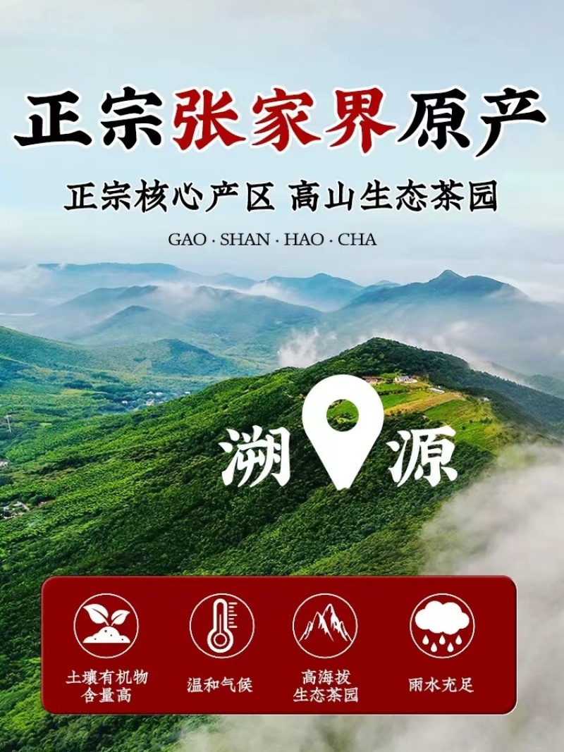 茅岩河原产地莓茶产地直发量大价优欢迎致电