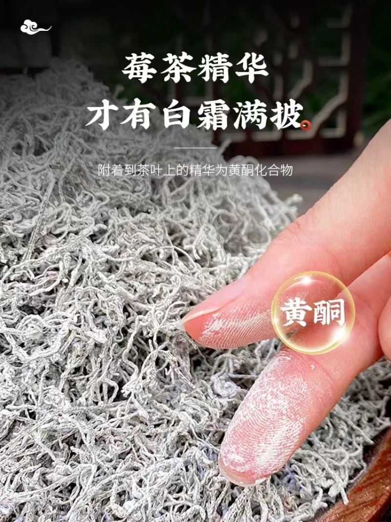 茅岩河原产地莓茶产地直发量大价优欢迎致电