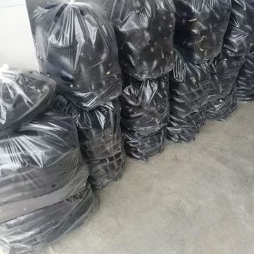 茄子基地供应一手货源全国直发量大质优支持视频看货