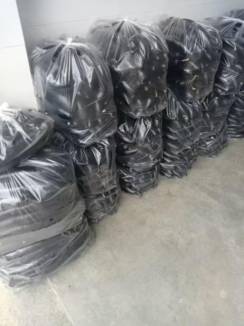 茄子基地供应一手货源全国直发量大质优支持视频看货