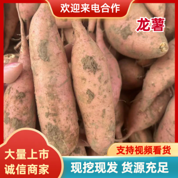 河北龙薯九号商品薯批发香甜红薯产地直供支持各种包装