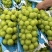 【实力推荐】阳光玫瑰出库一手货源对接全国品质
