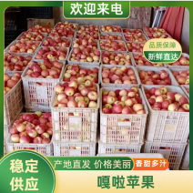 嘎啦苹果宁夏苹果大量供应中产地直发品质保障量大优惠