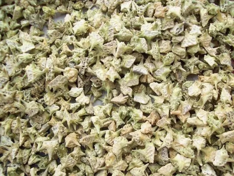 刺蒺藜刺蒺藜粉蒺藜旁通
