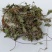 积雪草积雪草粉铜钱草连钱草