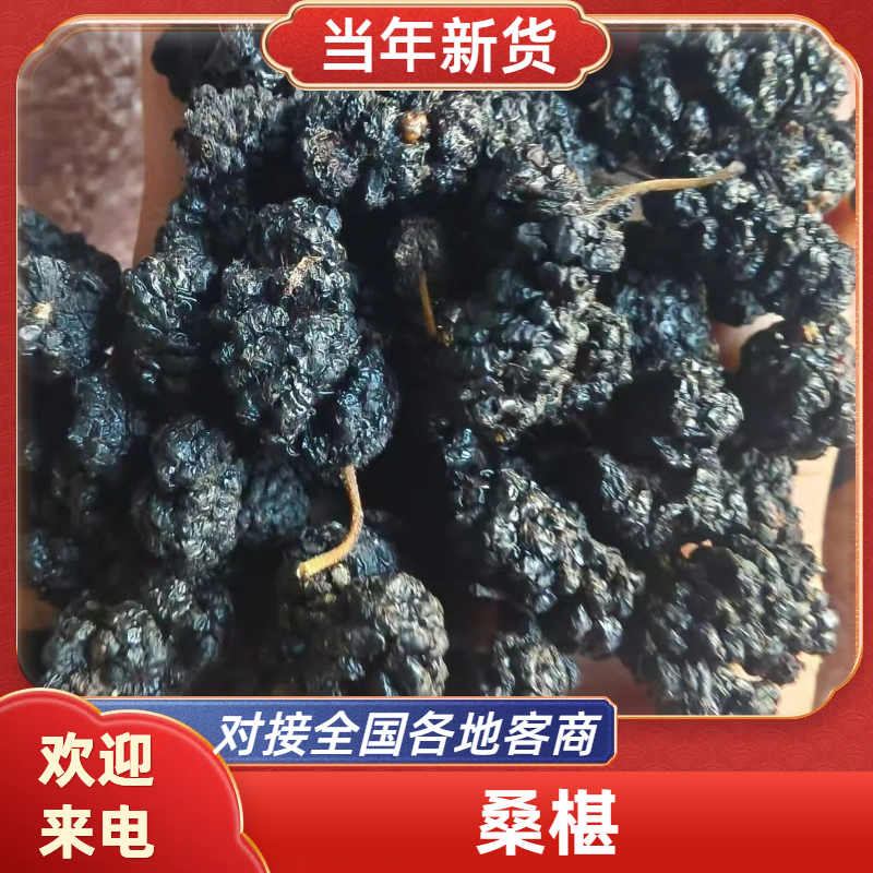 【推荐】桑椹中药材一手货源大量批发欢迎订购