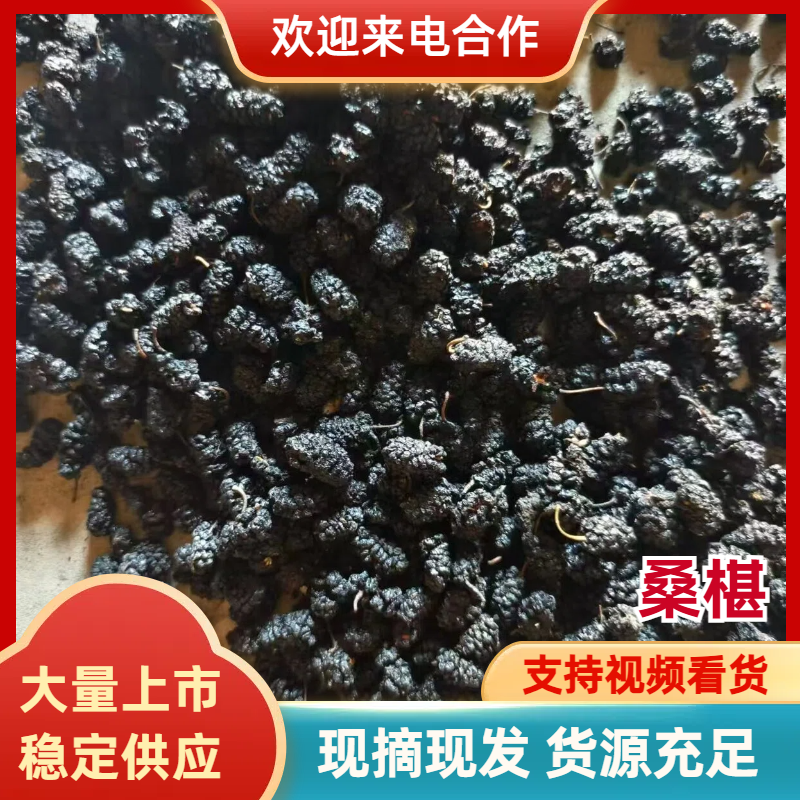 【实力】桑椹大颗粒一手货源大量批发可带包装欢迎订购