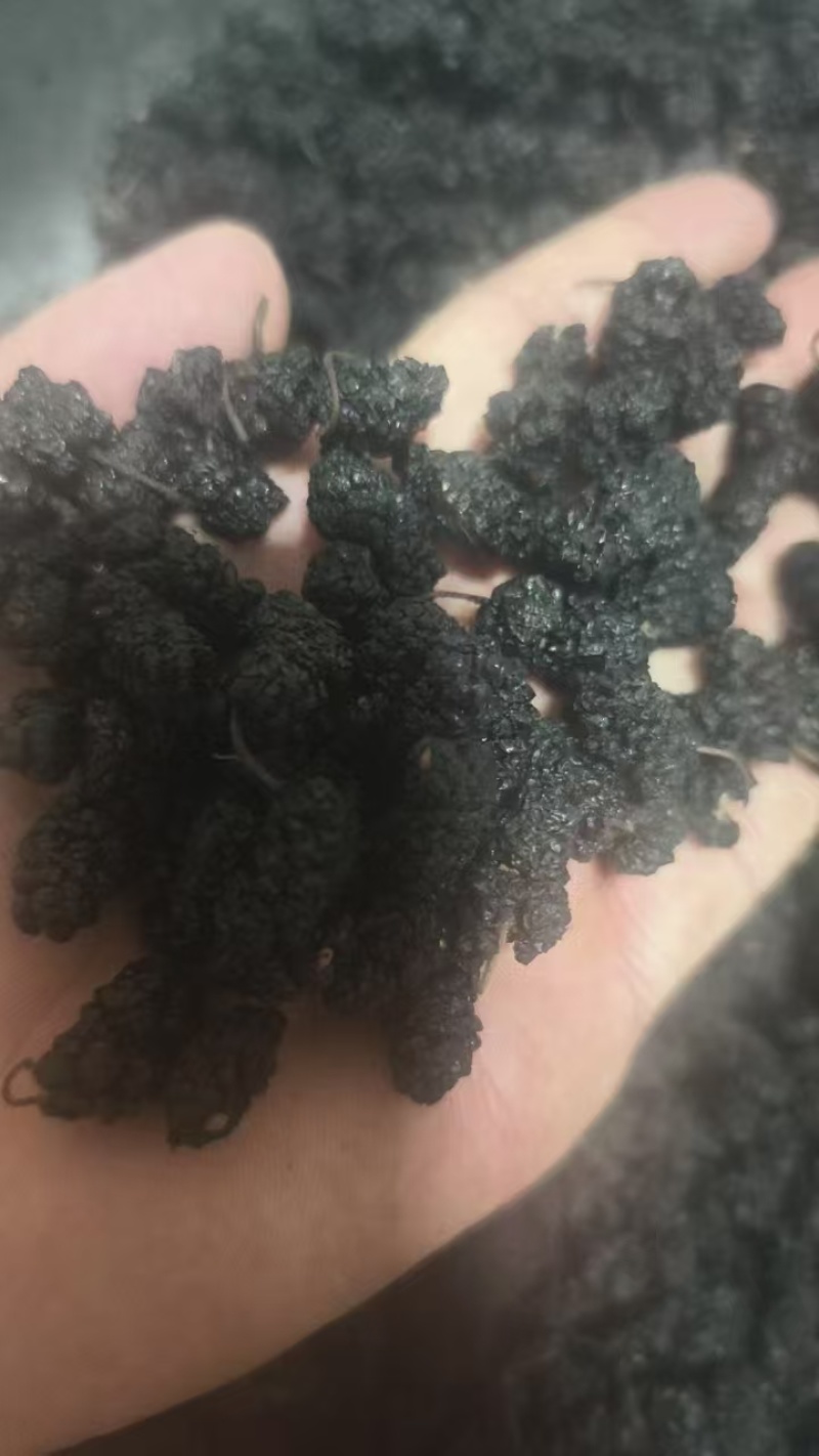 【精品】桑椹一手货源大量批发可带包装欢迎订购