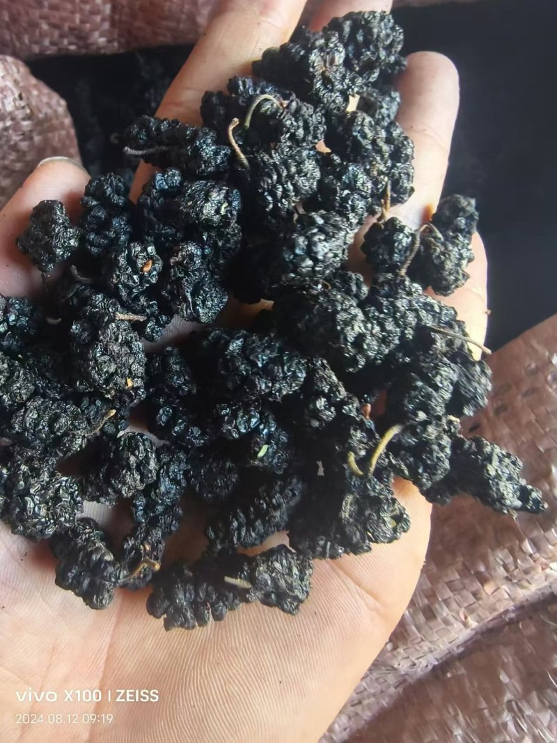 【精品】桑椹一手货源大量批发可带包装欢迎订购
