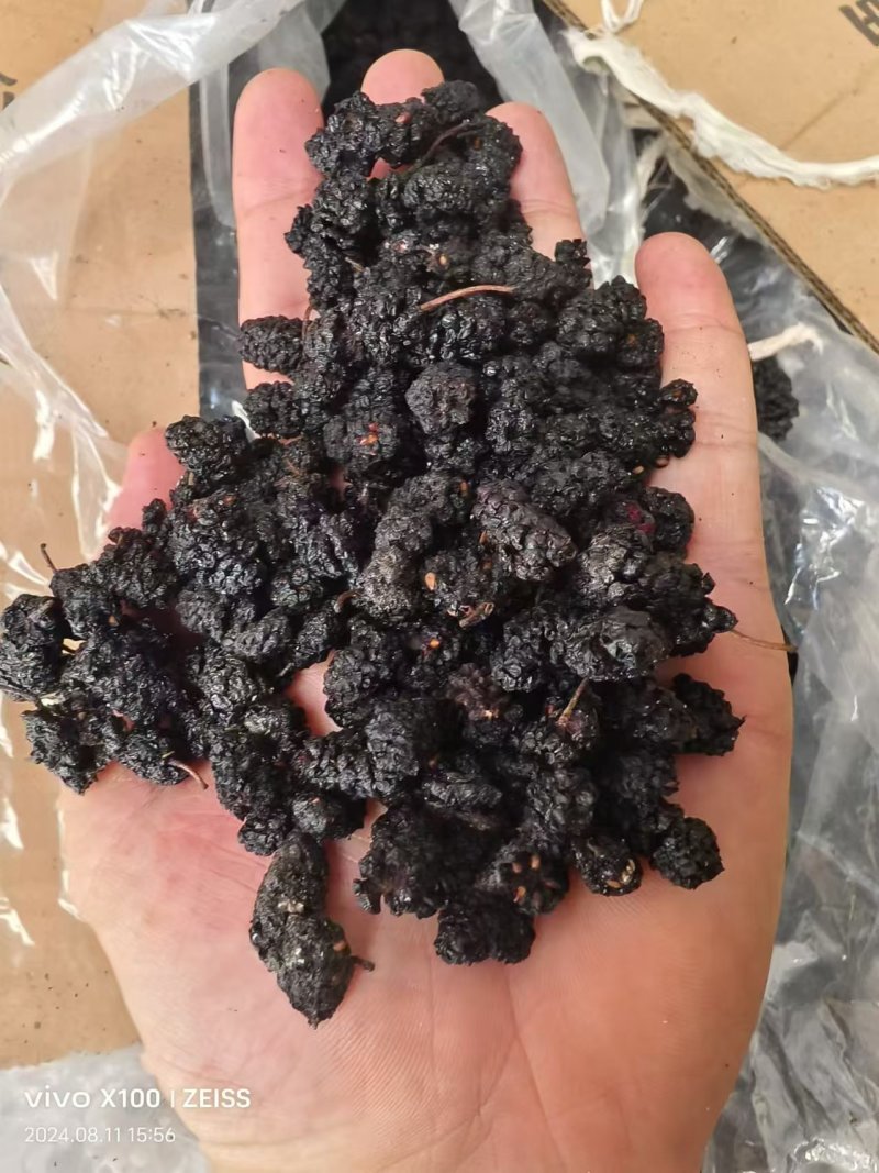 【推荐】桑椹中药材一手货源大量批发欢迎订购