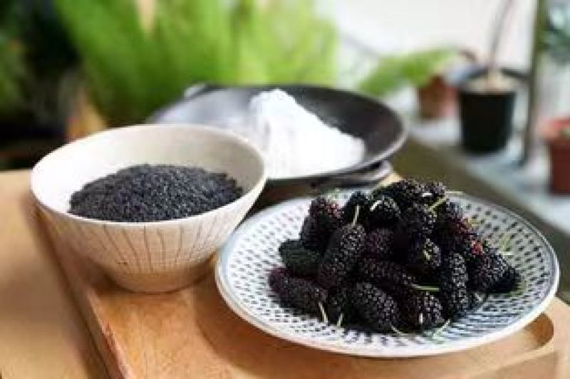 【实力】桑椹大颗粒一手货源大量批发可带包装欢迎订购