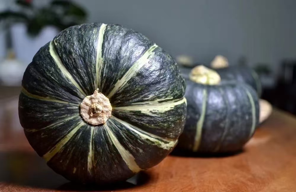 挑选新鲜贝贝小南瓜