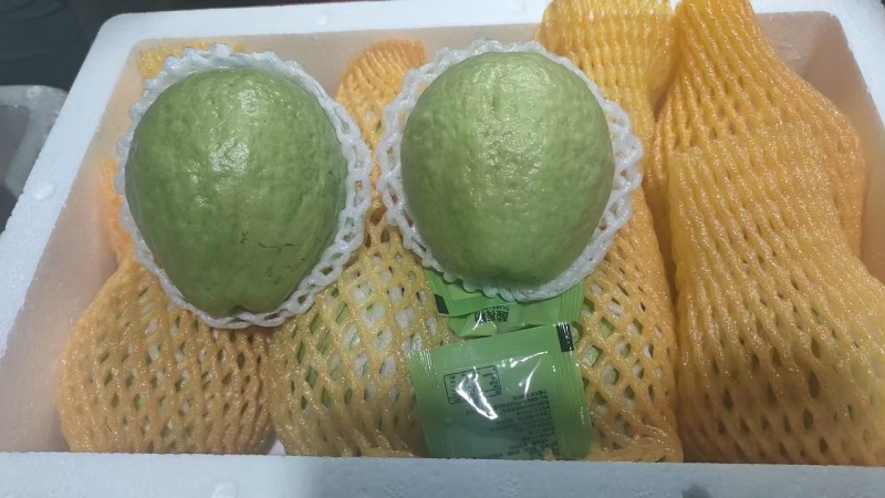 番石榴奶油番石榴营养丰富质优价廉欢迎选购