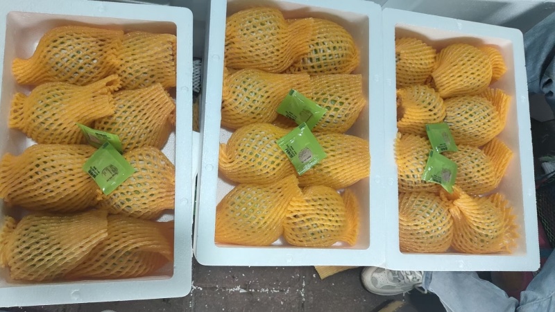 奶油芭乐番石榴精品白心番石榴产地直发