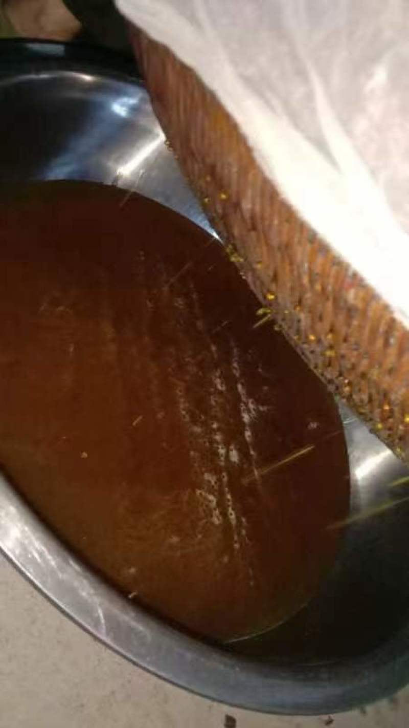 深山土蜂蜜农家蜂蜜自产自销假一赔十可视频看货欢迎联系