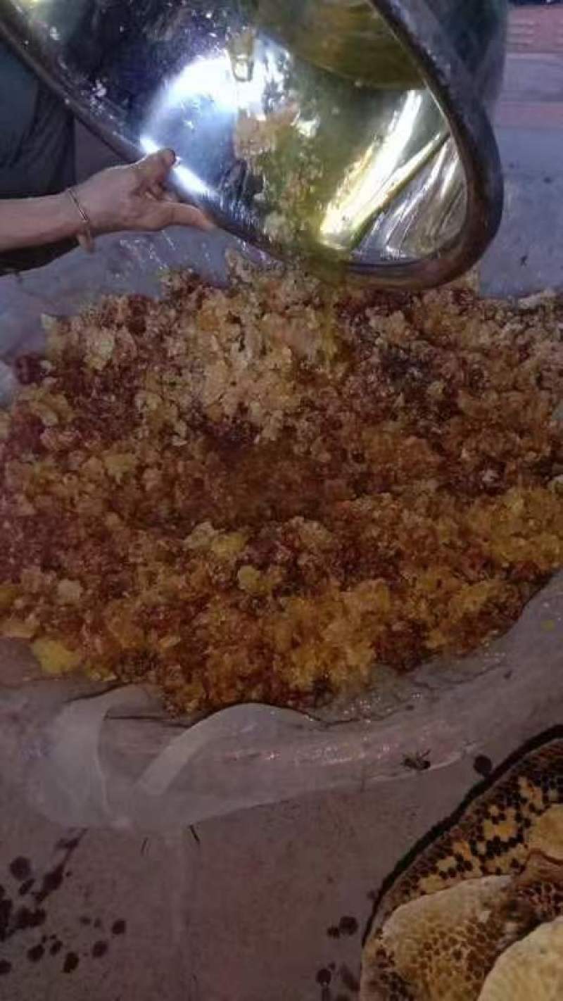 深山土蜂蜜农家蜂蜜自产自销假一赔十可视频看货欢迎联系