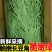 精品青条豆角大量上市，全国发货，品质保证，量大从优