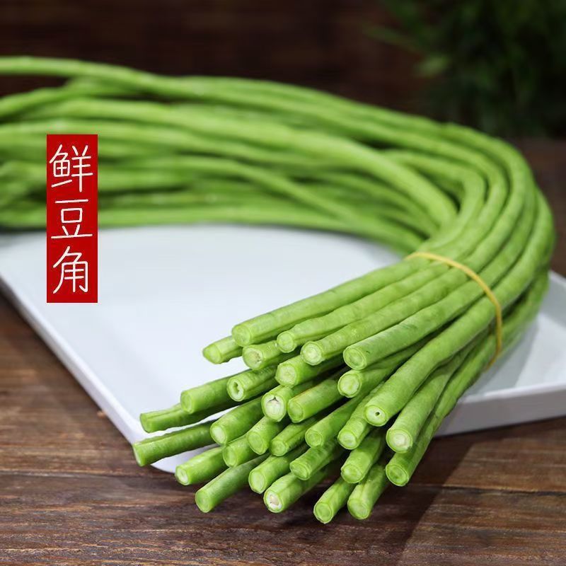 精品青条豆角大量上市，全国发货，品质保证，量大从优