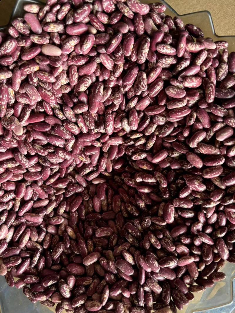 毕节大方干花豆米二花豆米酸菜豆米一手货源量大从优