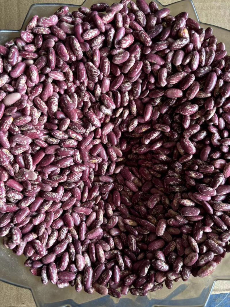 毕节大方干花豆米二花豆米酸菜豆米一手货源量大从优
