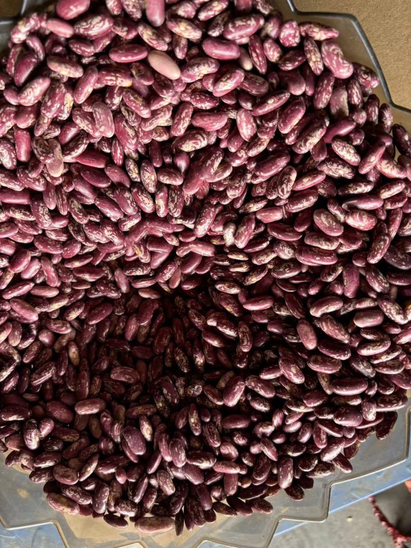 毕节大方干花豆米二花豆米酸菜豆米一手货源量大从优