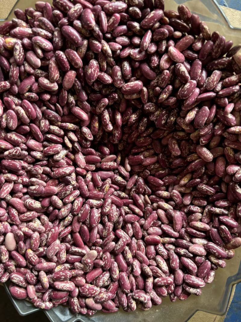 毕节大方干花豆米二花豆米酸菜豆米一手货源量大从优