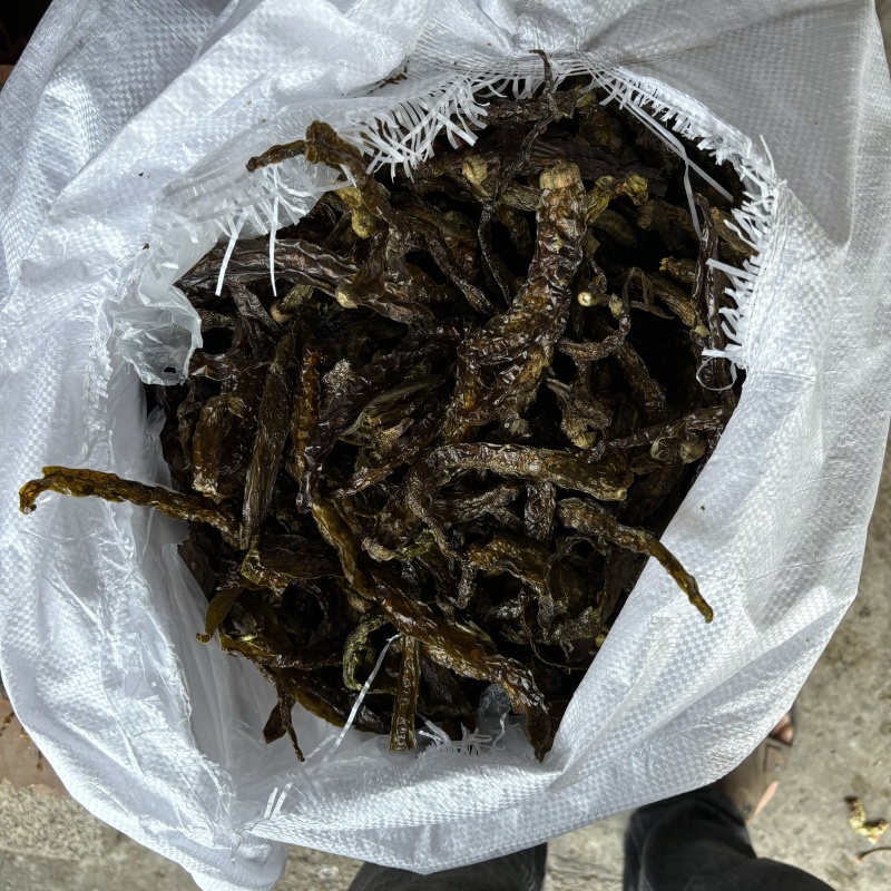 阴干辣椒绿干椒贵州特色阴辣椒纵椒海椒阴辣椒