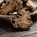 川芎原产地发货保质保量量大价优可视频看货欢迎老板