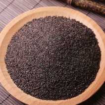 四川德阳大量供应车前子，量大从优，保质保量，批发欢迎咨询