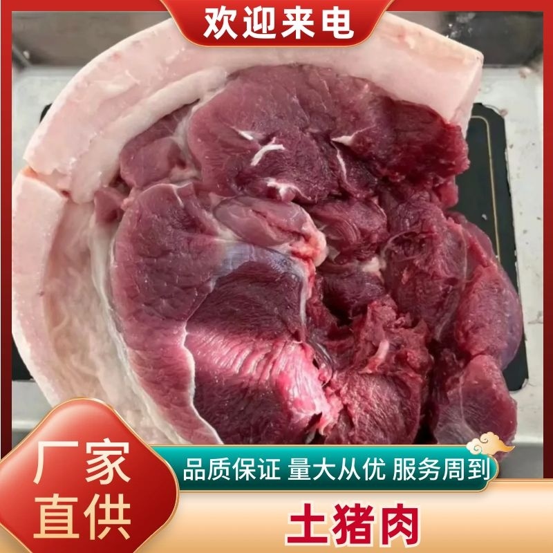 土猪肉太行山上放养500至700天吃山上野菜草药喝山泉水长大