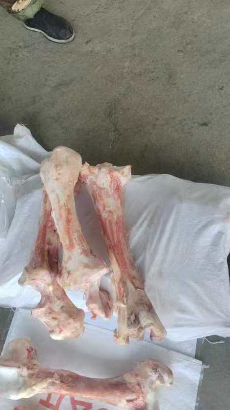 《推荐》牛圆棒骨牛扁棒骨牛大梁杂骨牛骨头质量好价格优量大
