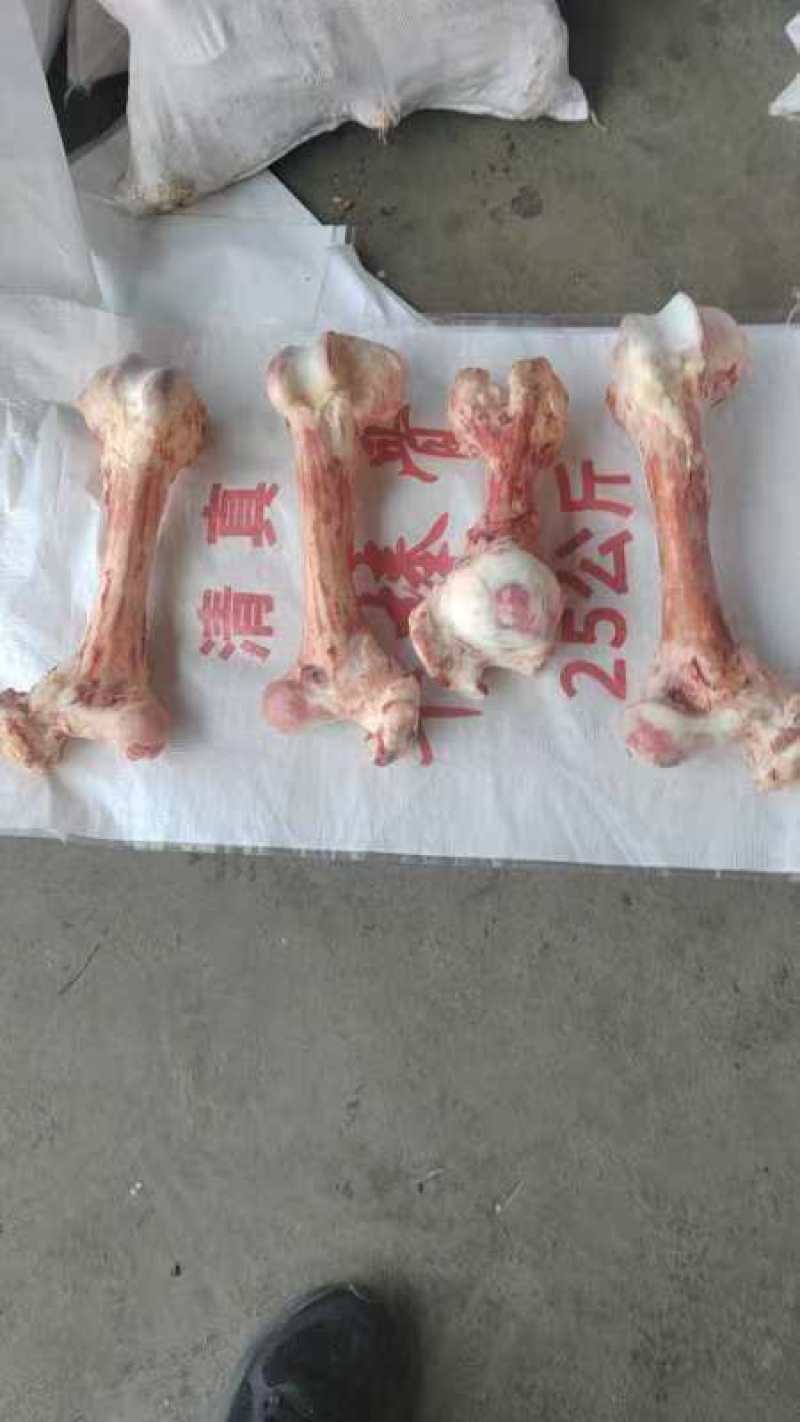 《推荐》牛圆棒骨牛扁棒骨牛大梁杂骨牛骨头质量好价格优量大