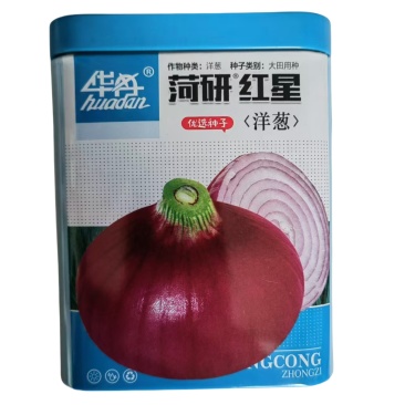 红洋葱种子菏研红星圆葱种子中日照品种红皮圆形100克