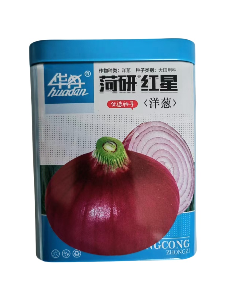 红洋葱种子菏研红星圆葱种子中日照品种红皮圆形100克
