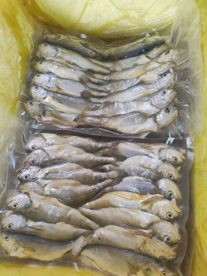 [推荐]福建养殖黄花鱼片，品质保证，一手货源，欢迎来电咨询
