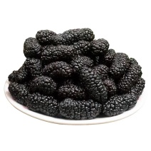 桑葚桑葚粉桑葚子