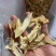 玉竹批发无熏硫玉竹散装玉竹片大货批发农产品玉竹