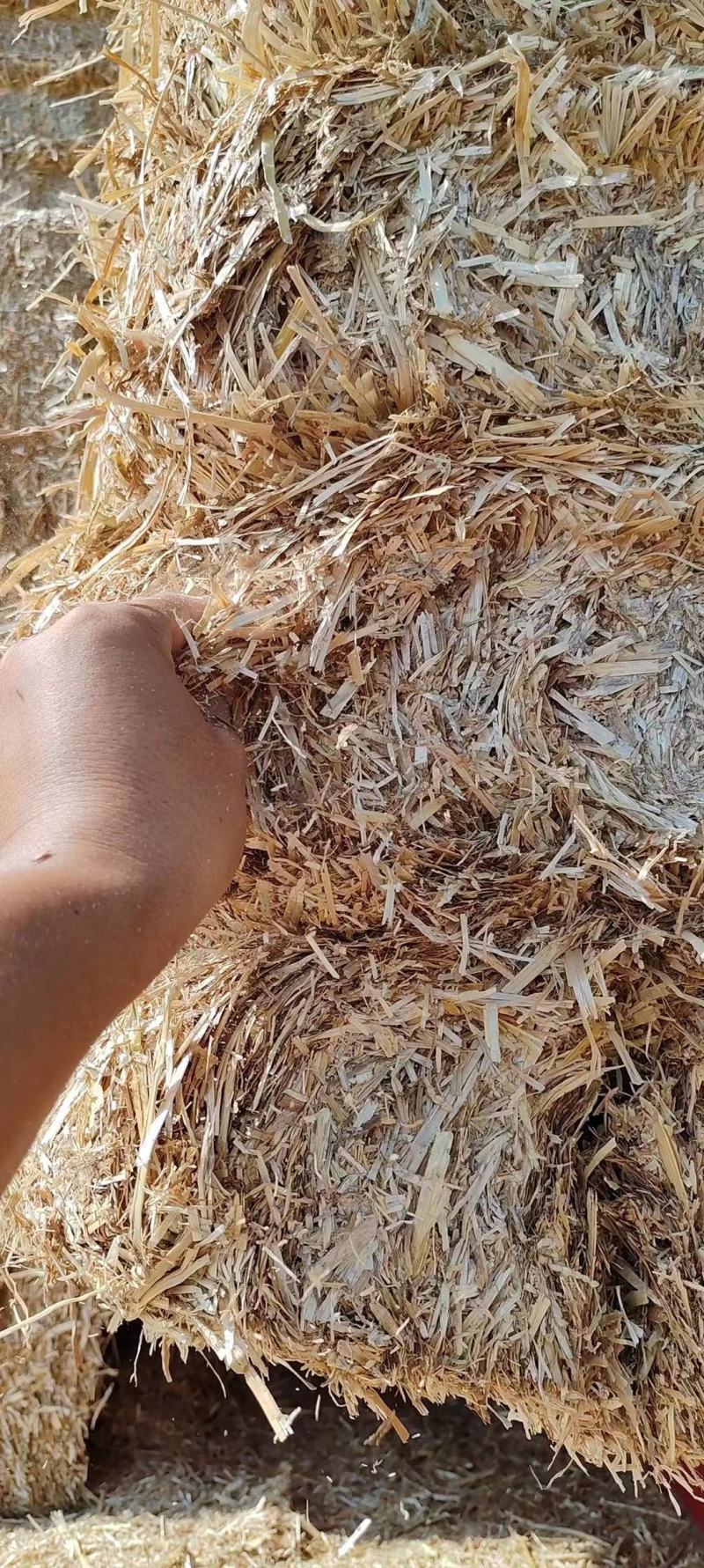 优质精品小麦秸秆粉碎出尘二次加压保质保量